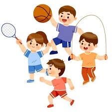 详解棒球规则中的球棒材质规定为什么枫木逐渐取代白蜡木成为主流