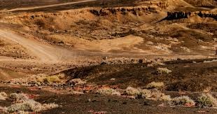 MLB球星的心理训练方式